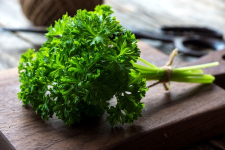 bunch of parsley on the table